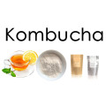 Extrait de thé kombucha biologique en gros poudre